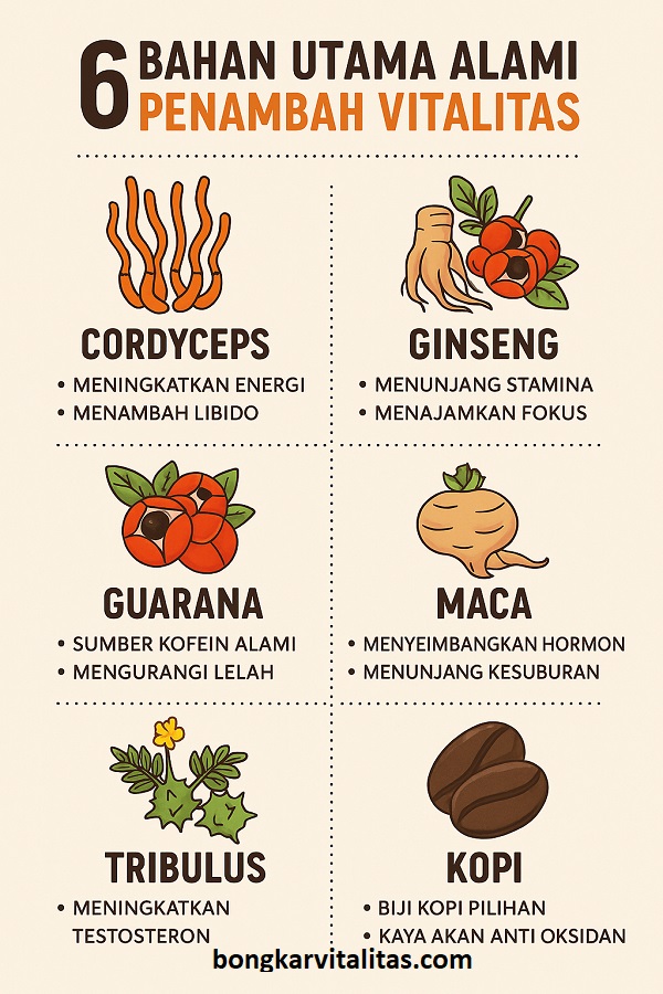 Bahan Baku De Sultan Coffee ( Kopi Sultan ): Rahasia Vitalitas Pria Modern Terungkap!