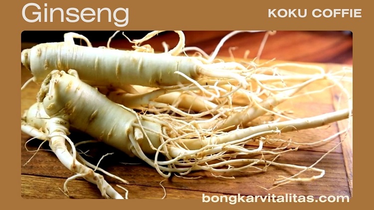 KOKU COFFIE – Pilihan Kopi Herbal Alami untuk Gaya Hidup Pria Sejati